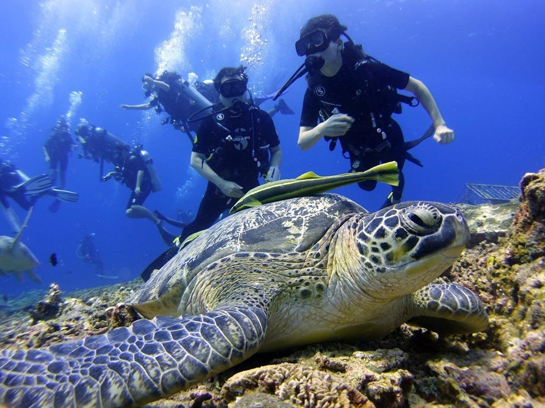 Seanu Divernesia-Senggigi必去景点