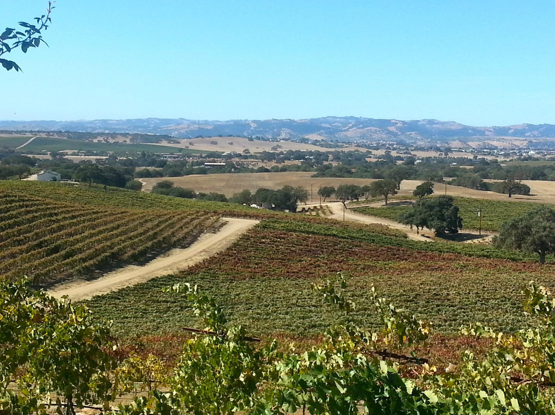 Pear Valley Vineyard景点图片