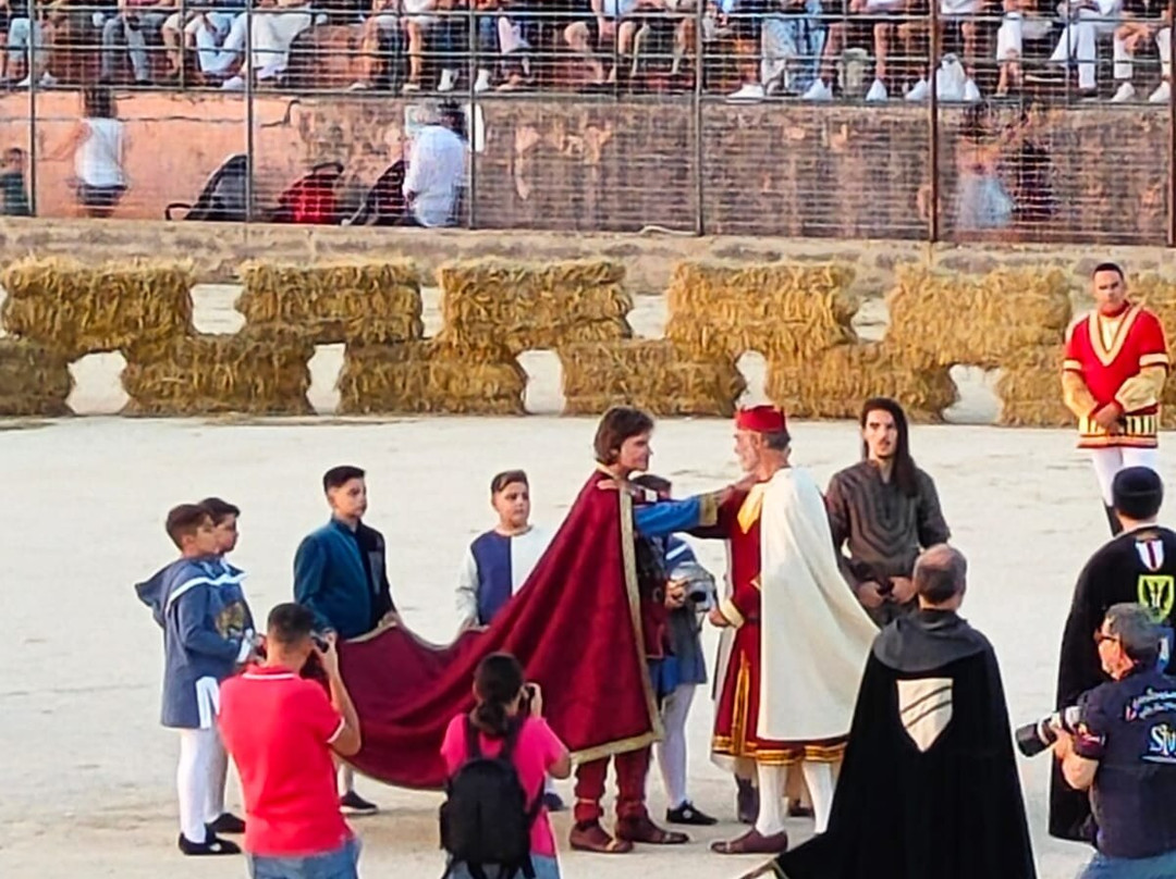 Palio dei Normanni-皮亚扎－阿尔梅里纳必去景点