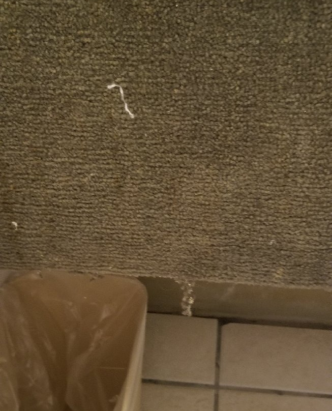 Econo Lodge Tucumcari Route 66主图