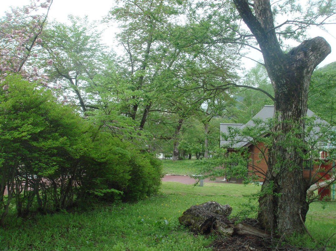 Yoson Park Ikoi no Hiroba景点图片