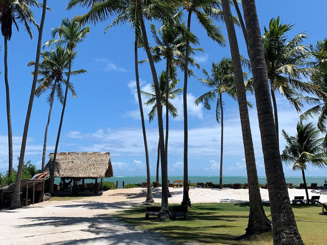 Pousada Vila Do Patacho主图