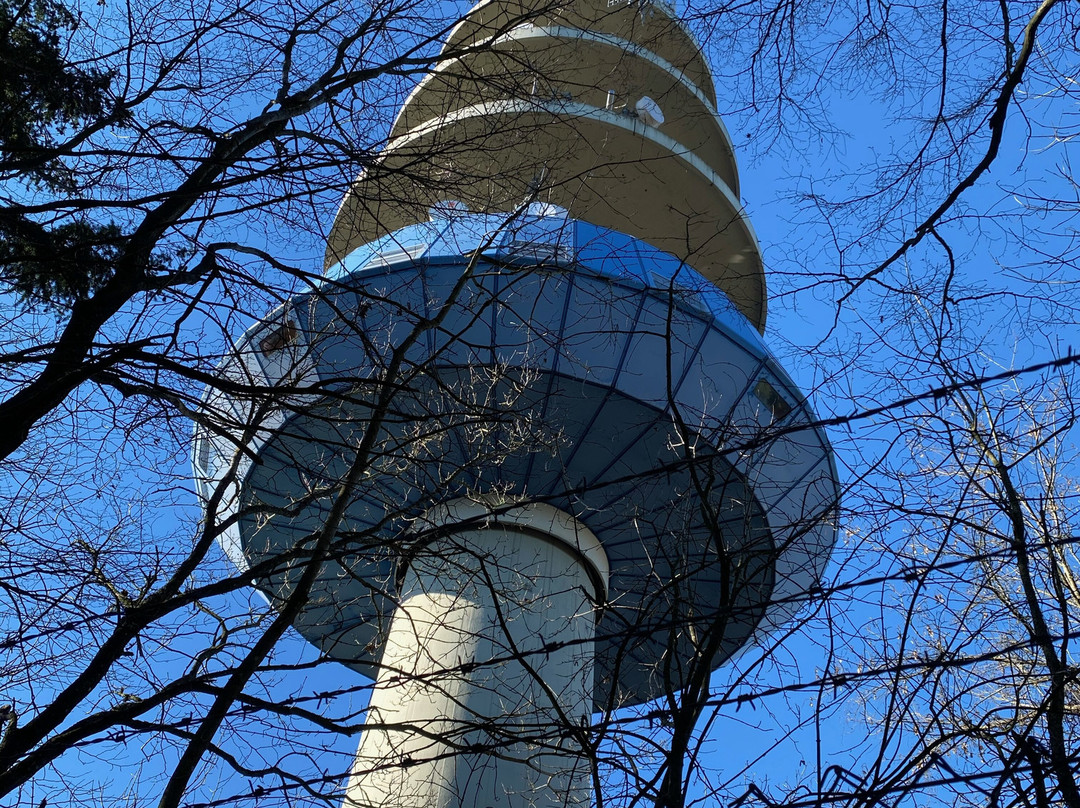 Mondhalde景点图片