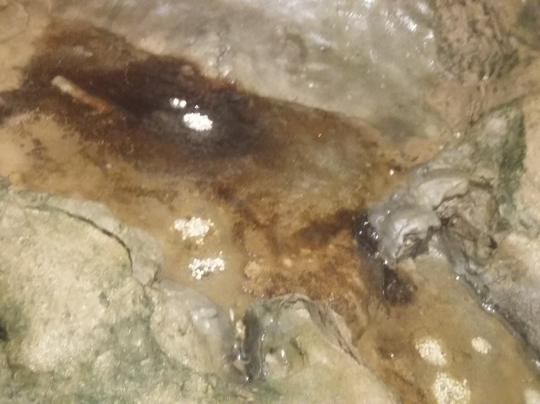 Yagodina Cave-Yagodina必去景点