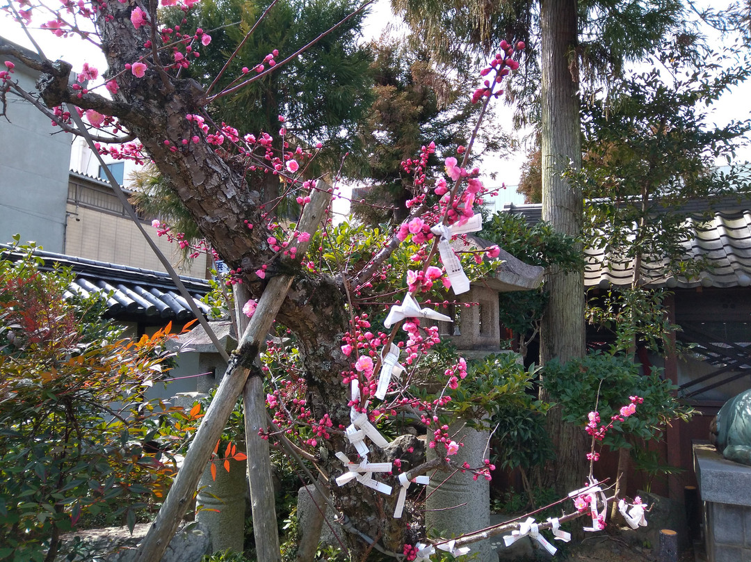 Sugawara Shrine-伊贺市必去景点