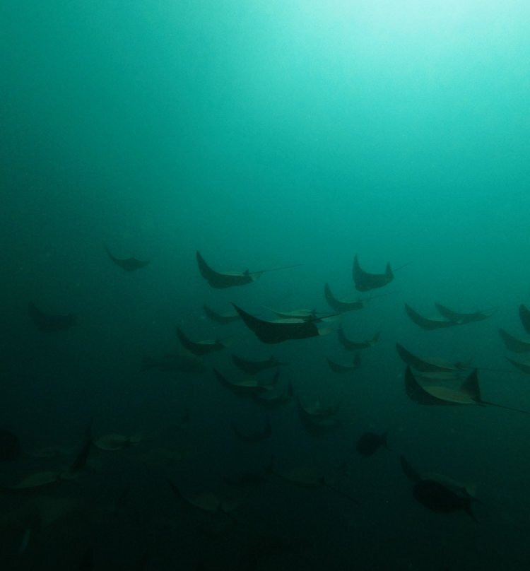 Cabo Pulmo Beach Resort主图