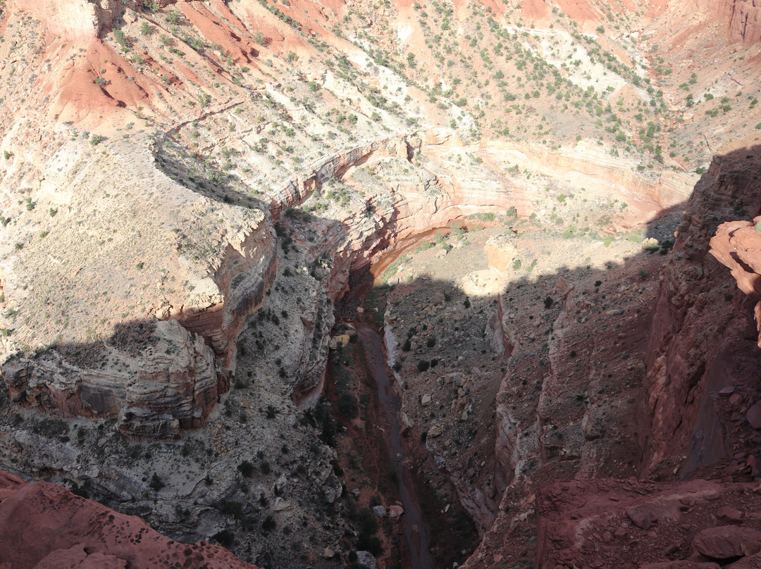 Goosenecks Overlook-圆顶礁国家公园必去景点