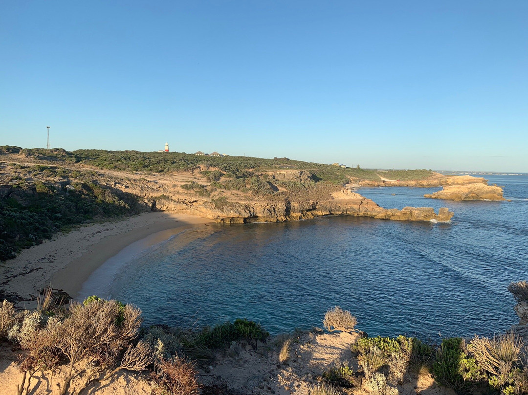 Cape Northumberland景点图片