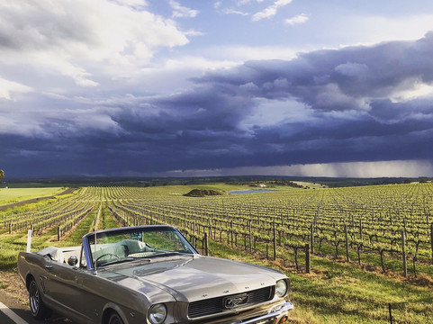 Barossa Unique Tours-努里乌特帕必去景点