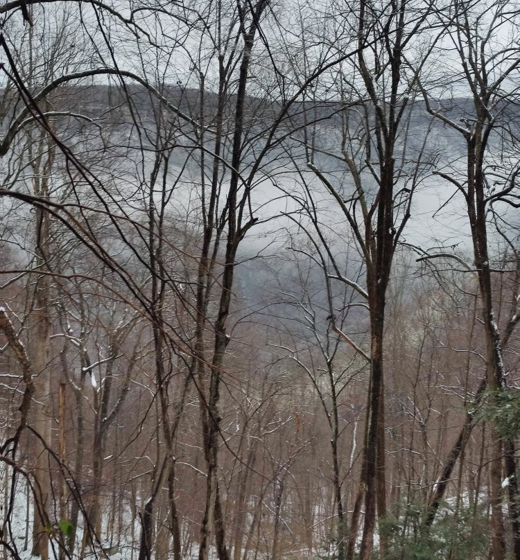 Kaymoor Miners Trail景点图片