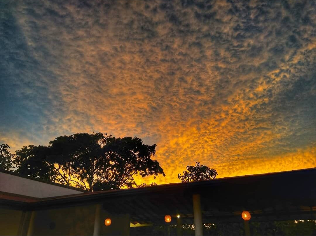 Tectona Resort主图