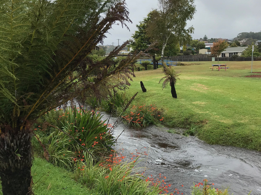 Hiscutt Park-企鹅岛必去景点