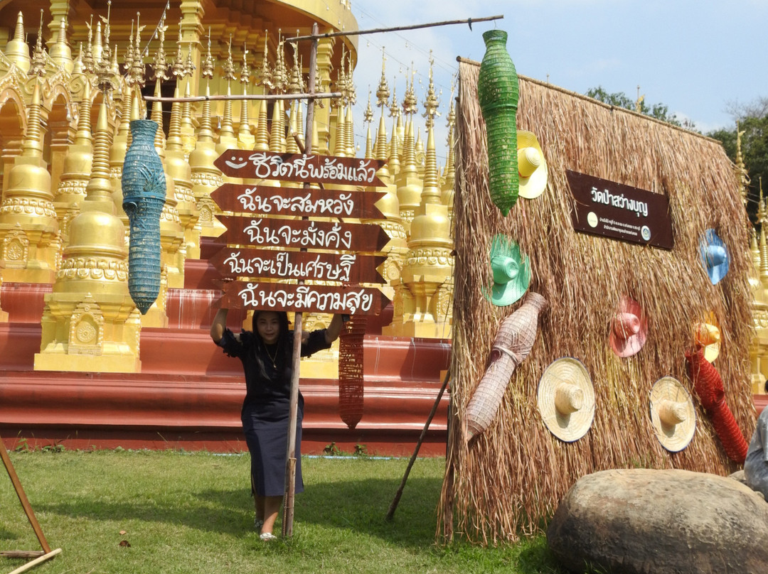 Wat Pasawangboon景点图片