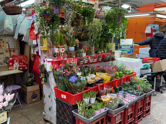 灯笼洲街市-香港必去景点