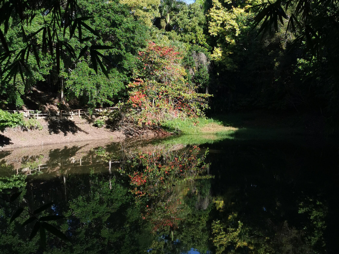 Taino Valley Tropical Park-Tubagua必去景点