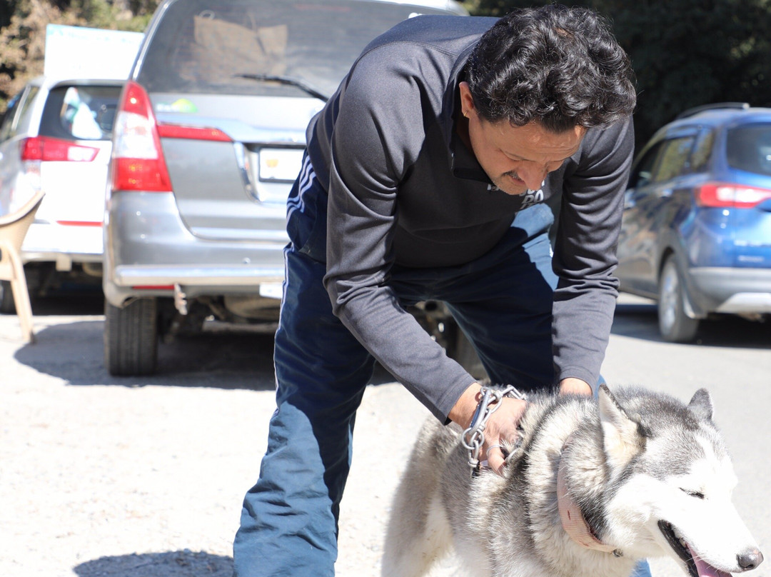 The Himalayan Village ( Kiwi Kanatal )主图
