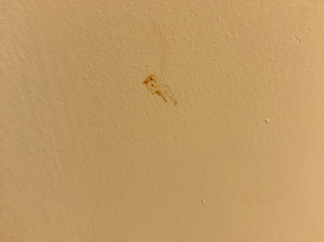 Residence Inn Phoenix Mesa East主图