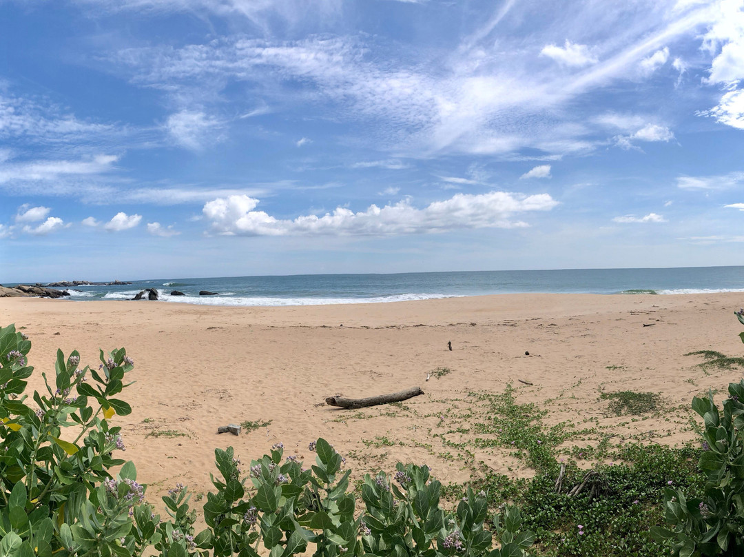 Bungalow By The Beach主图