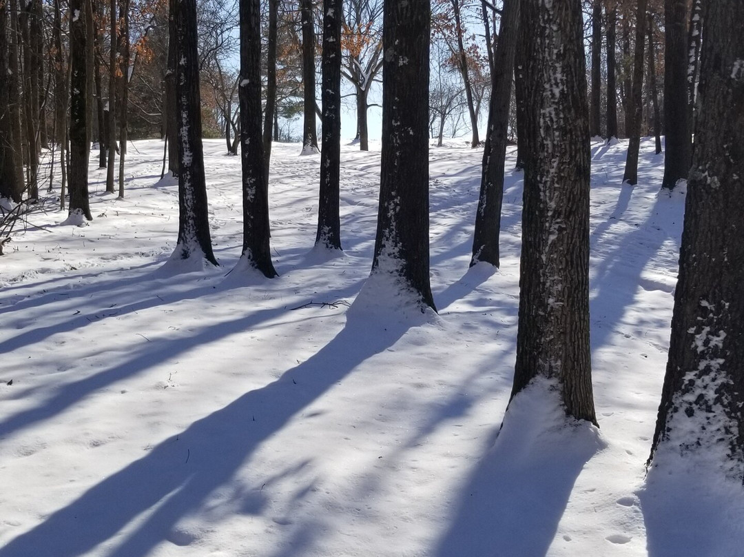 McDonnell County Park-Saint Ann必去景点