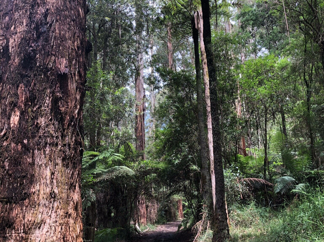 La La Falls-华伯登必去景点