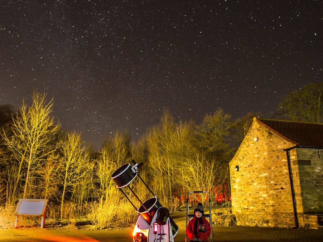 Astro Dog Stargazing景点图片