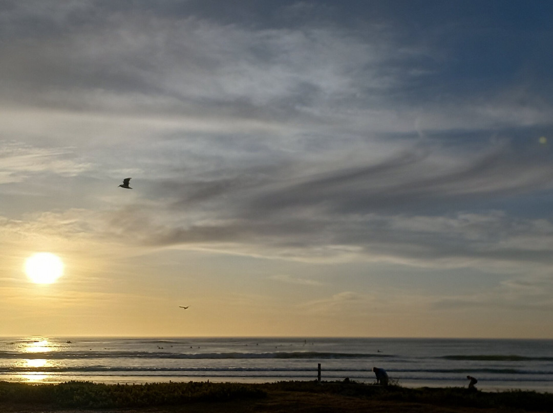 Melkbosstrand Beach景点图片