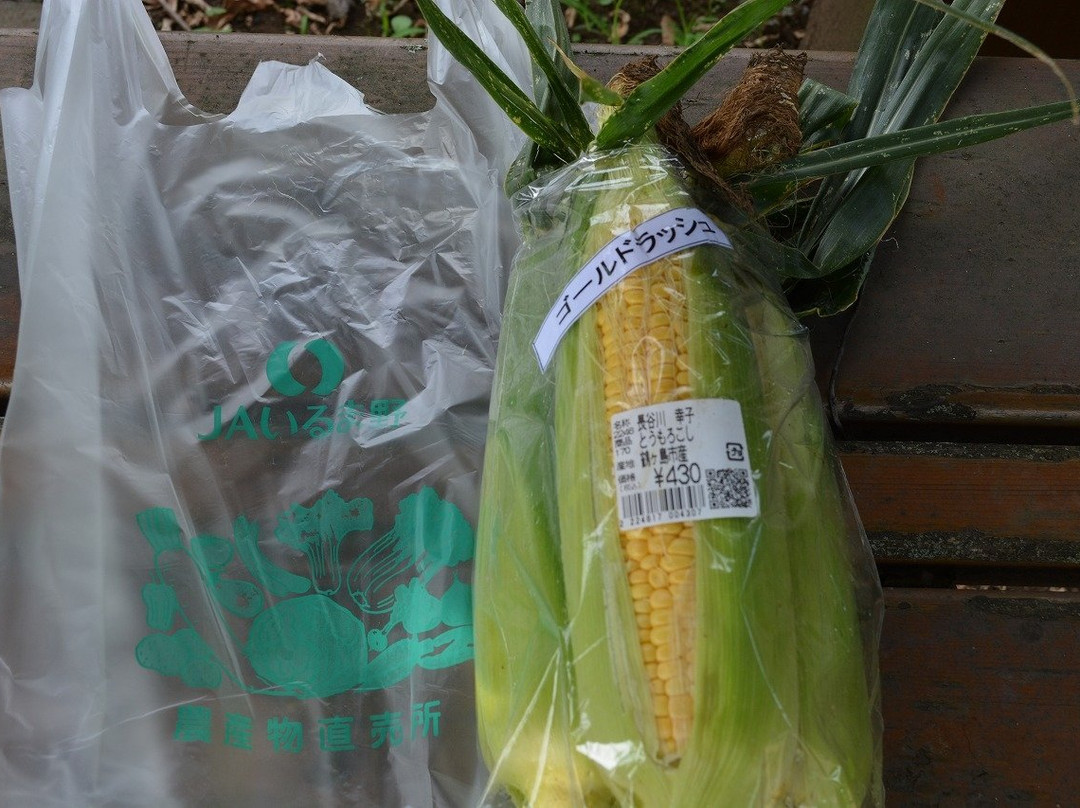 Tsurugashima Nosanbutsu Chokubai Centre-鹤岛市必去景点