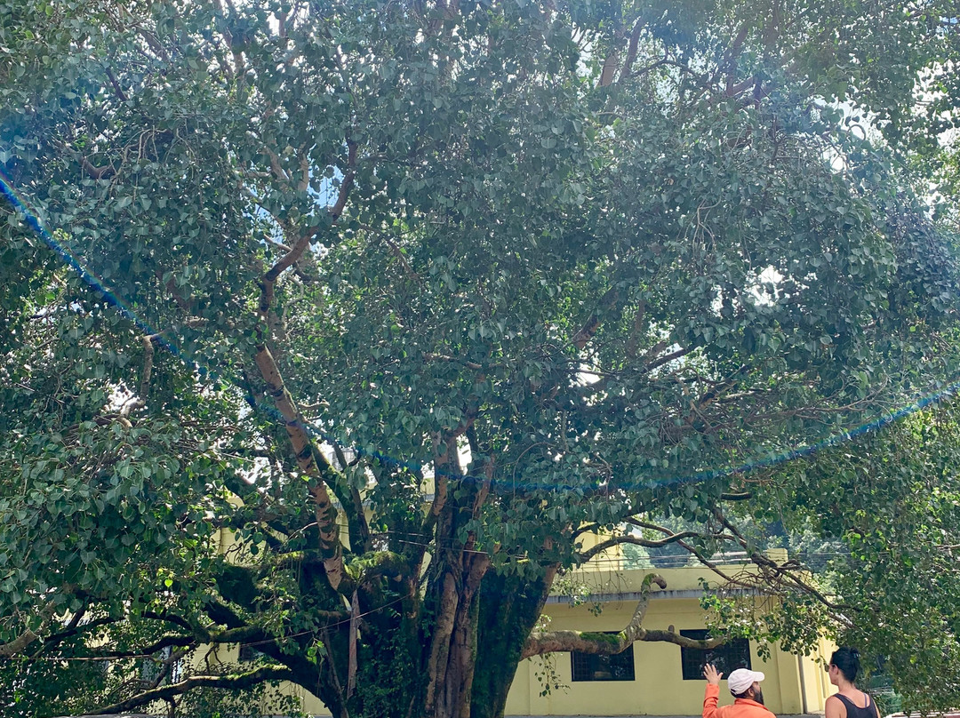 曼德拉瑜伽水疗工作室-Chandragiri必去景点