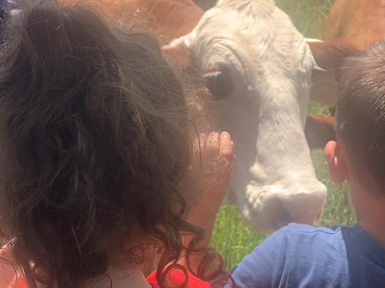 Tamworth Kootingal Horse Riding Adventures-塔姆沃思必去景点