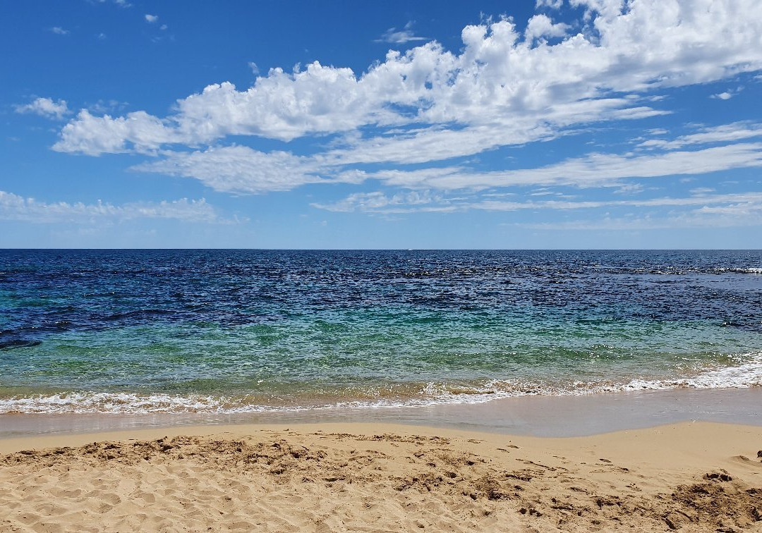 Shoalwater Islands Marine Park景点图片