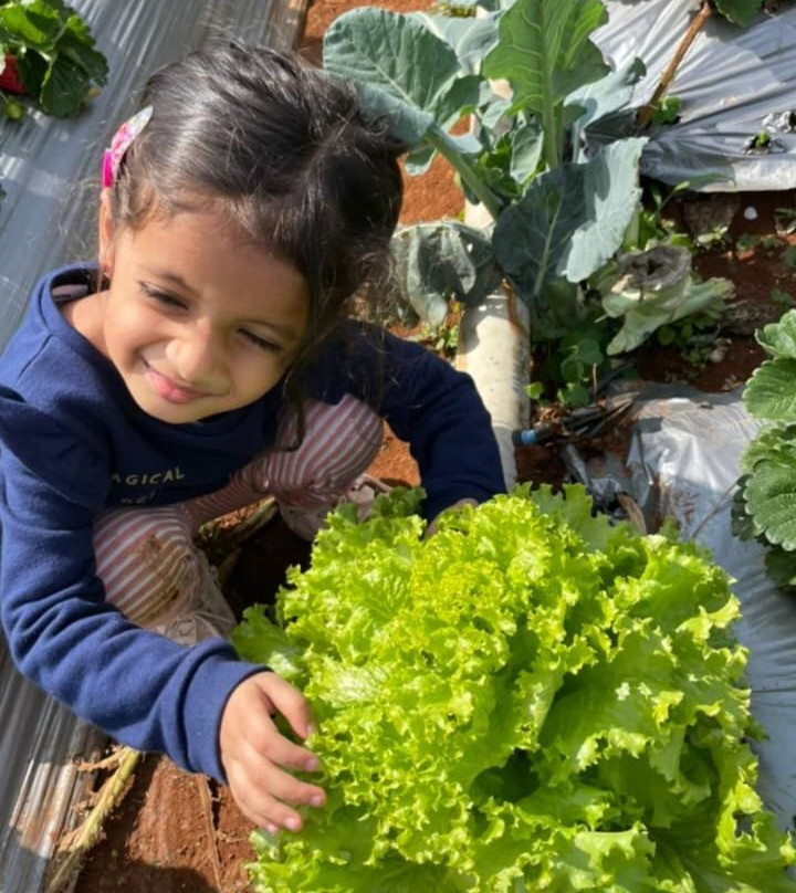 Muskan Organic Strawberry Garden-马哈巴勒什瓦必去景点