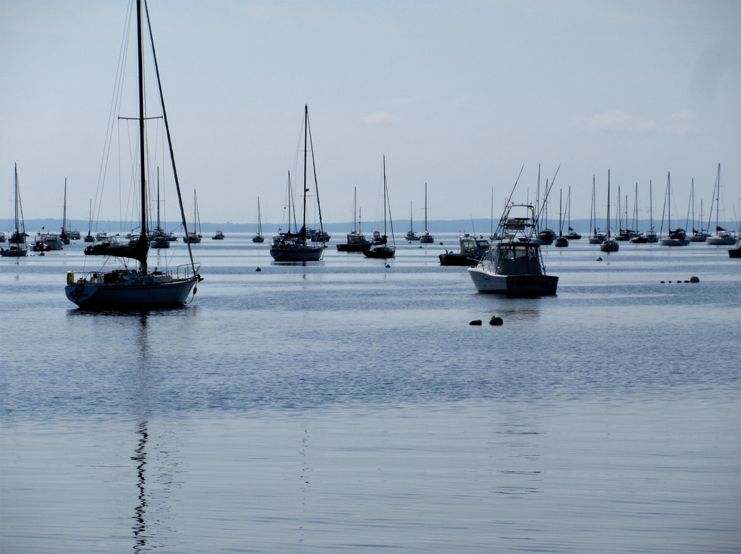 Mattapoisett Harbor景点图片