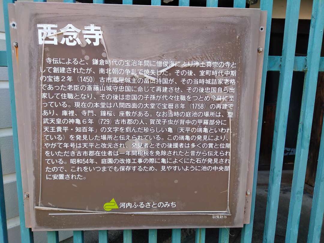 Sainen-ji Temple-羽曳野市必去景点