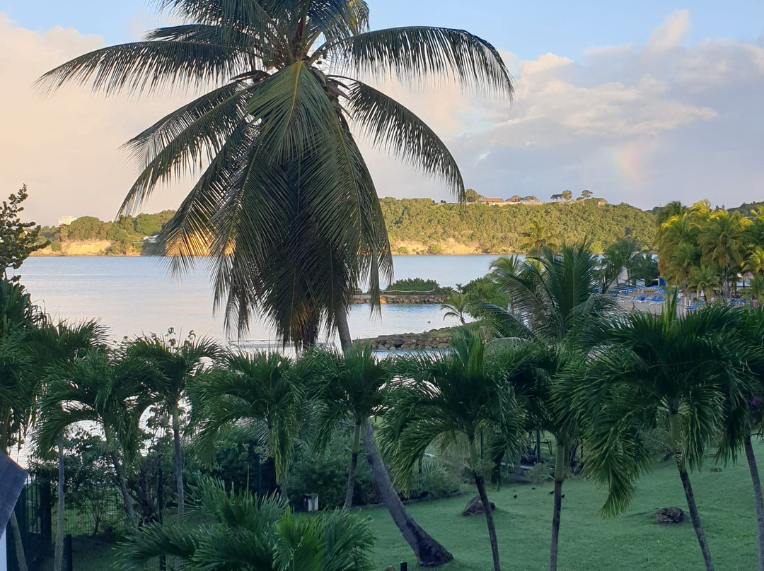 Mahogany Hotel Residence and Spa主图