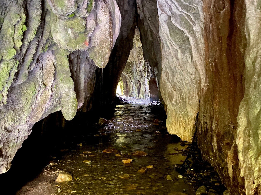 Limestone Creek Glow Worms Caves景点图片