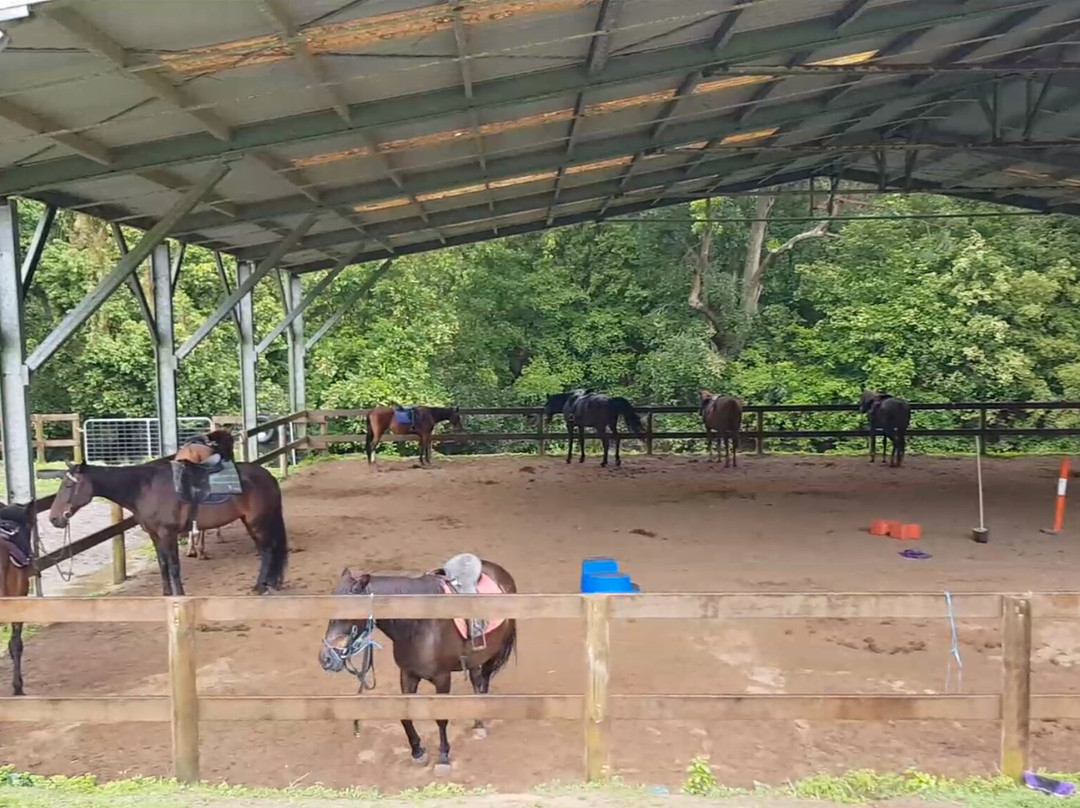 Otford Farm-Otford必去景点