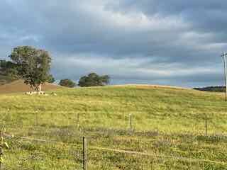 Hillview Farmstay-酒店景观