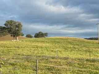 Hillview Farmstay主图