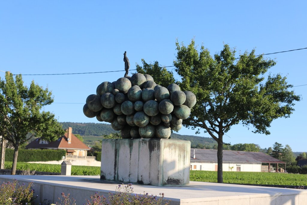 Grappe De Raisin De Puligny-montrachet景点图片