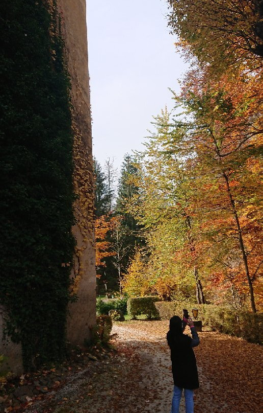 Schloss Hallegg景点图片