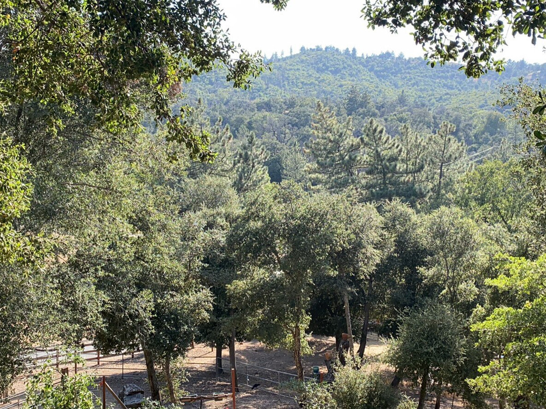 Wikiup Hummingbird Hotel主图