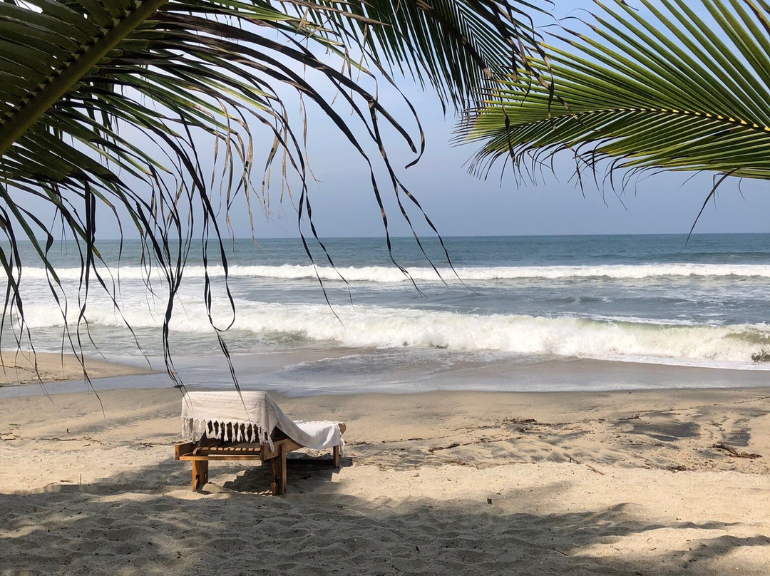 Playa Pikua Ecolodge主图