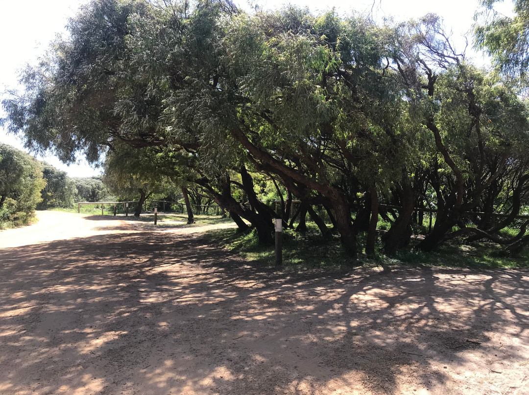 Cosy Corner Beach East-Kronkup必去景点