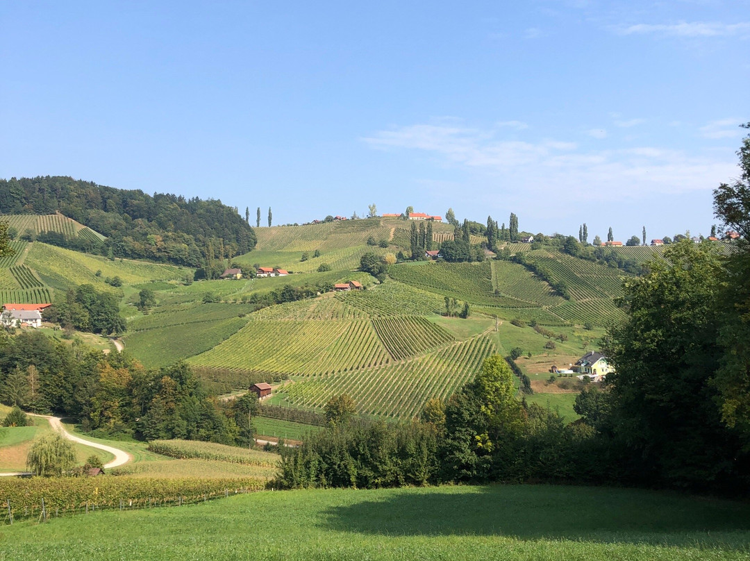 Winzarei Weingut Tement主图