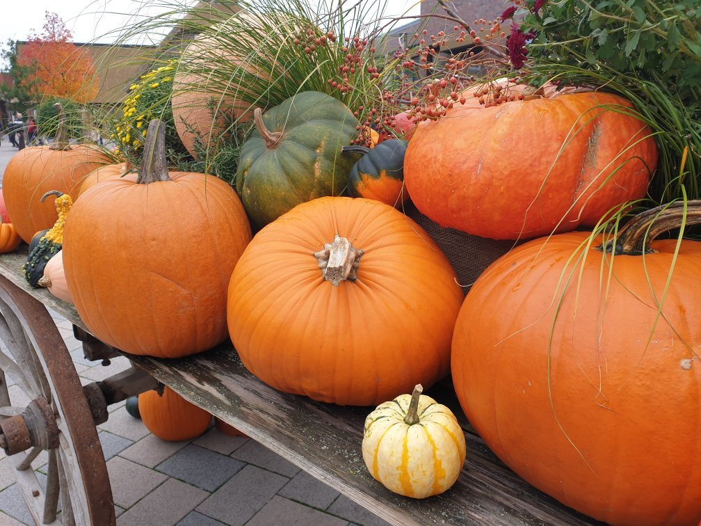 Designer Outlet Soltau-索尔陶必去景点