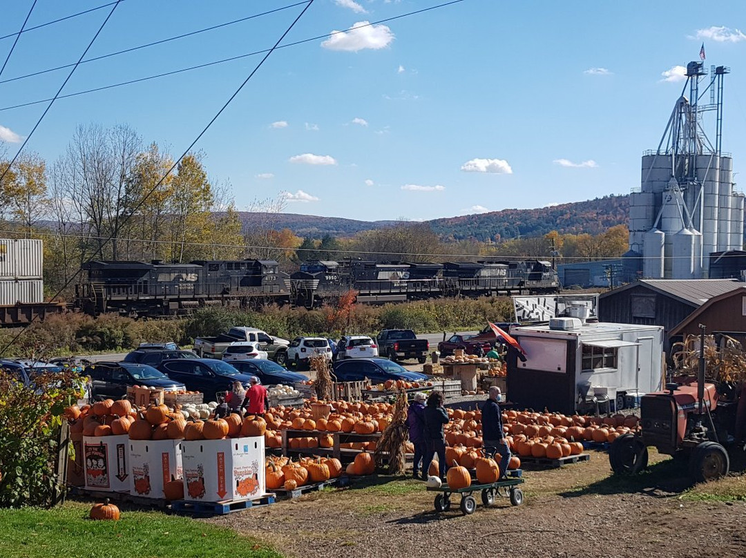 Frog Pond Farms-Bainbridge必去景点