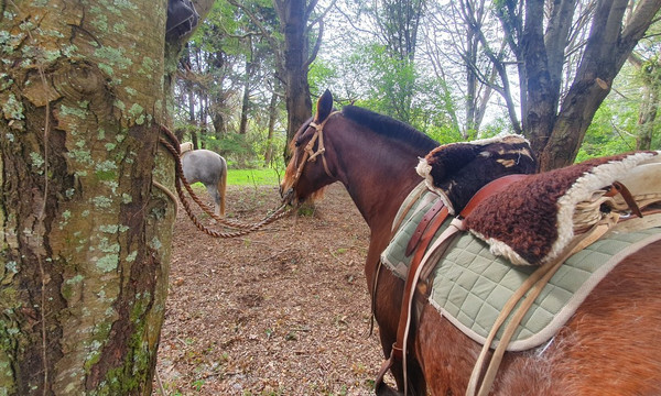 Alanca-巴拉斯港必去景点