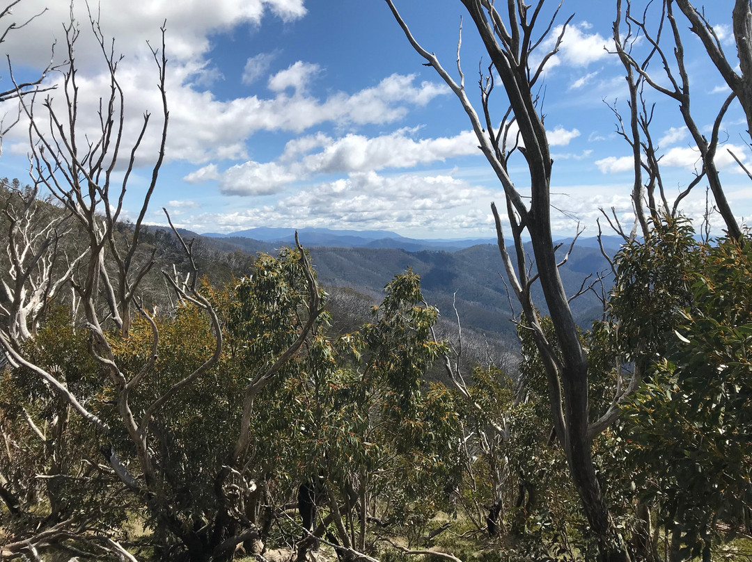 Dungey's Hollow-Hotham Heights必去景点