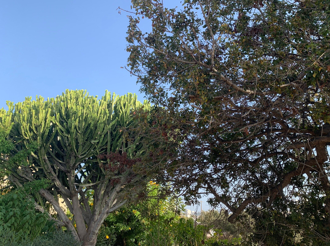 St. Solomon's Catacombs-帕福斯必去景点