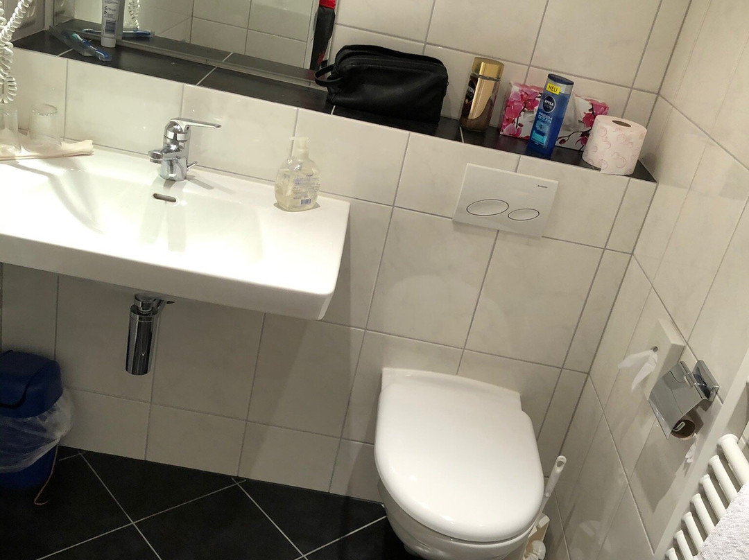 Hotel Conrad Scuol主图